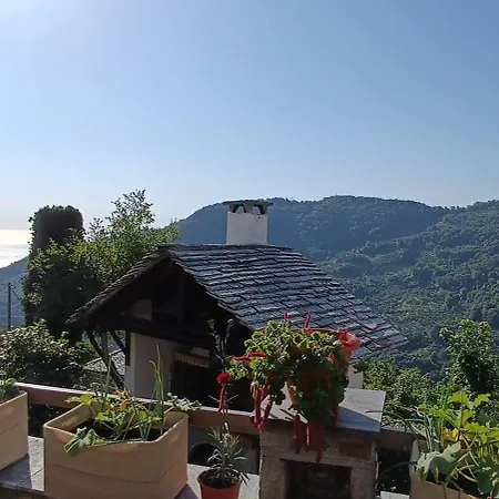 Hope Nest Pelion *