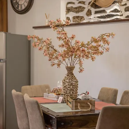 Hope Nest Pelion Vakantiehuis Zagorá