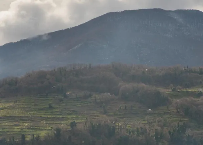 Hope Nest Pelion Zagora